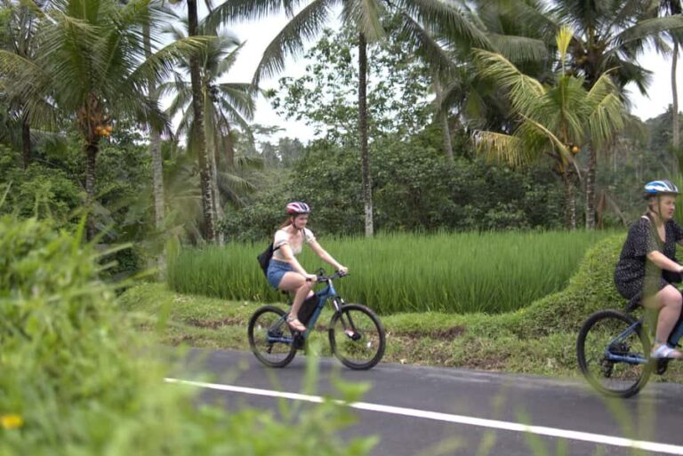 Ubud: E-Bike Tour with Rice Terrace and Village Visit - Why Choose This Ubud E-Bike Tour?