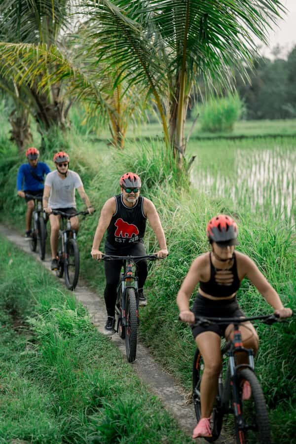 Ubud Eco Culture Cycling - What to Expect from the Experience  