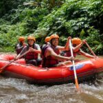 Ubud: Family-Friendly Ayung River Rafting Experience - What to Expect: An In-Depth Look at the Itinerary