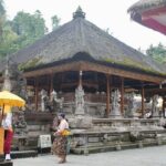 Ubud Full Day Tour with Entry Tickets - Practical Details and What to Expect