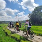 Ubud: Half-Day Tegallalang Electric Cycling Tour - What’s Included and How Does It Work?