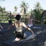 Ubud Hatha Yoga Home Service (certified yoga teacher) - The Quality of the Instruction and Experience