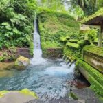 Ubud Healing Journey Experience - All Inclusive - What Is the Ubud Healing Journey Experience?