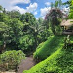 Ubud: Hidden Waterfalls, Rice terrace & Cliffside Dining - Exploring a Traditional Village of Art & Craft