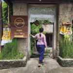 Ubud: Hidden Waterfalls, Rice terrace & Cliffside Dining - Exploring the Hidden Waterfalls and East Ubud