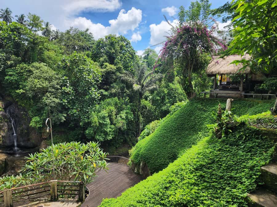 Ubud: Hidden Waterfalls, Rice terrace & Cliffside Dining - Exploring a Traditional Village of Art & Craft