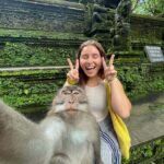 Ubud: Highlight Nature Wildlife, Swing & Waterfall - What to Expect on the Day