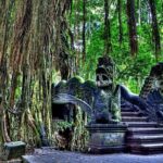 Ubud Highlights Day Tour with Bali ATV and Rafting - Practical Details That Matter