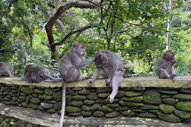 Ubud Highlights Private Day Tour - Who Should Book This Tour?