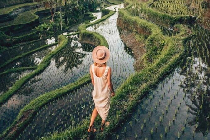 Ubud Highlights Shared Tour  Small Group Full-Day Experience - Authentic Experiences and What Reviewers Say