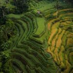 Ubud Highlights Tours Customized With Private Driver & Guide - Detailed Breakdown of the Itinerary