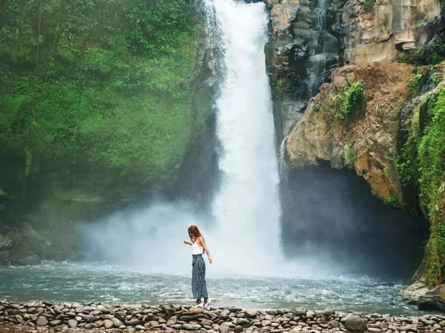 Ubud: Horse Ride, Turtle Conservation Visit & Waterfall Tour - What to Expect at Each Stop