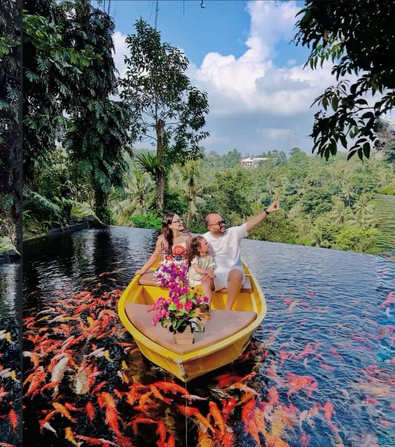 Ubud: Koi fish Photoshoot, Monkey Forest & infinity pool - The Practical Details That Make It Work