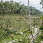 Ubud: Monkey Forest, Ceking Rice Terraces and More Full Day - Transportation, Timing, and Group Dynamics