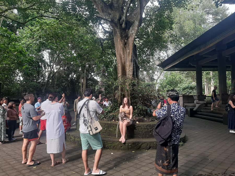 Ubud: Monkey Forest, Rice Terrace, and Waterfall - The Details that Matter