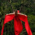 Ubud Monkey Forest, Scenic Rice Terrace with Swing and Waterfall - The Guide and Experience Quality