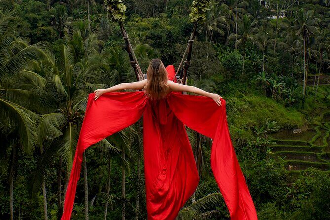 Ubud Monkey Forest, Scenic Rice Terrace with Swing and Waterfall - The Guide and Experience Quality