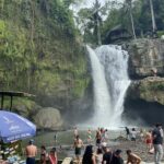 Ubud :Monkey forest, Water Temple and waterfall Private Tour - What Makes This Tour Stand Out?