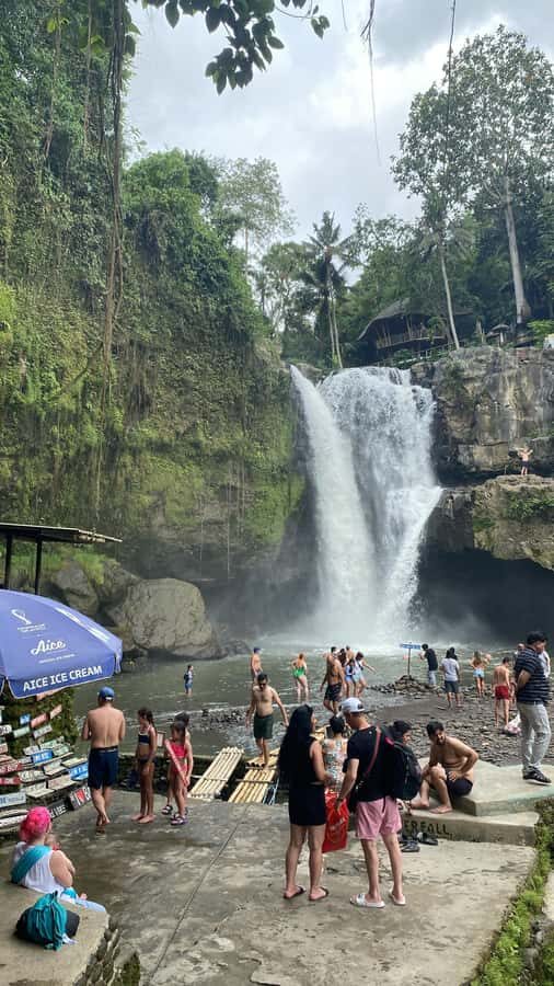 Ubud :Monkey forest, Water Temple and waterfall Private Tour - What Makes This Tour Stand Out?