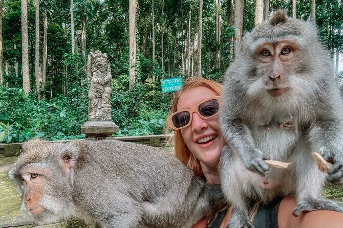 Ubud Monkey Forest Water Temple Waterfall and Rice Terrace - In-Depth Breakdown of the Itinerary