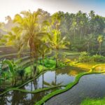 Ubud: Monkey Forest, Waterfall, and Rice Terrace Tour - The Experience: How It All Comes Together