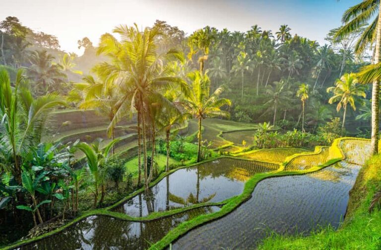 Ubud: Monkey Forest, Waterfall, and Rice Terrace Tour - The Experience: How It All Comes Together