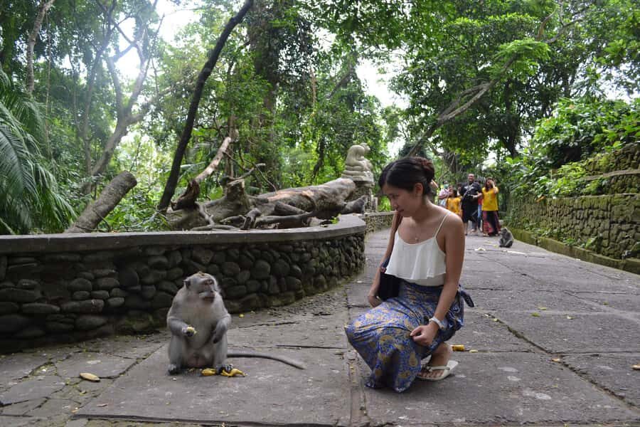 Ubud: Monkey Forest, Waterfall, and Rice Terrace Tour - Who is This Tour Best For?