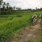 Ubud: Old Spiritual Village & Countryside Life Cycling Tour - Visiting Local Artisans and Cultural Touchpoints