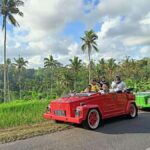 Ubud on the Road: VW Safari Tour Across Local Life of Ubud - The Experience from the Reviews