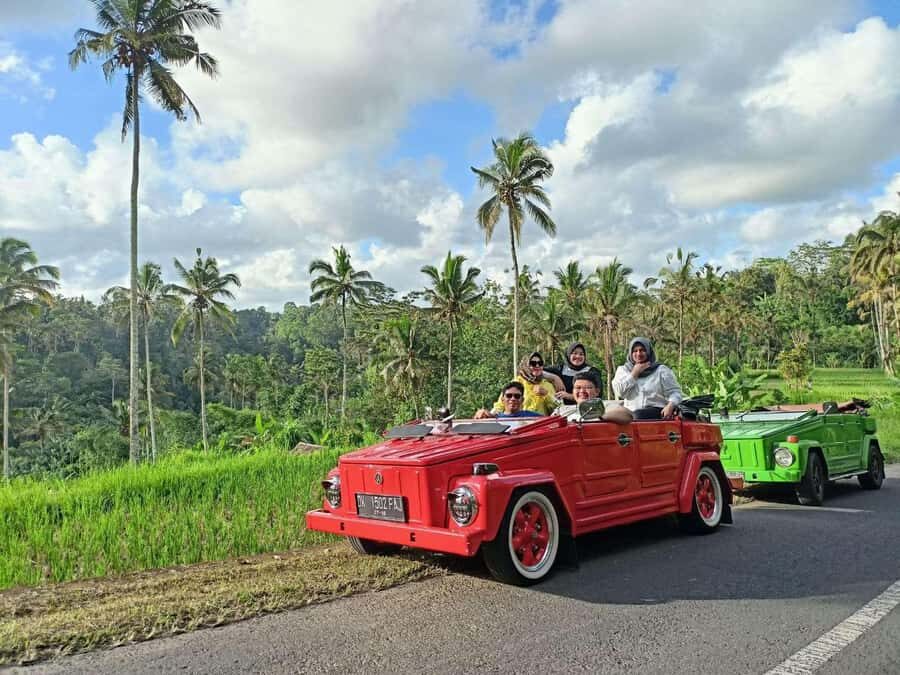 Ubud on the Road: VW Safari Tour Across Local Life of Ubud - The Experience from the Reviews