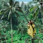 Ubud Private Customized Full Day Tour - A Well-Rounded Day of Highlights