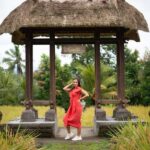 Ubud Private Customized Full-day Tours with Photographer - Why Choose This Tour?