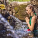 Ubud: Private Day Tour with Waterfall and Rice Terrace - What Makes This Tour Stand Out?