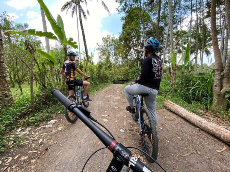 Ubud: PRIVATE Downhill Bike Tour with Rice Terraces & Meal - Who Is This Tour Best For?