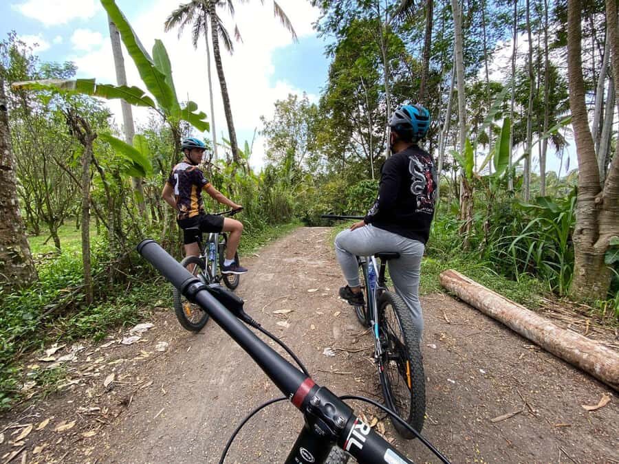 Ubud: PRIVATE Downhill Bike Tour with Rice Terraces & Meal - Who Is This Tour Best For?