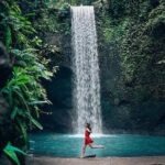 Ubud Private Tour - Waterfalls, Water Temple & Rice Terraces - What’s included and what to consider