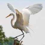 Ubud: Private Tour with Gunung Kawi Temple & Waterfall - Practical Details and Tips