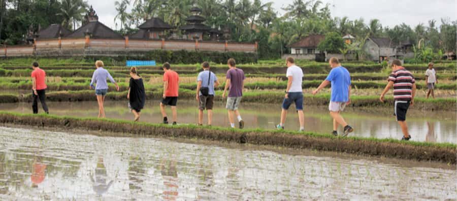 Ubud: Rice Field Trekking Tour with Guide and Drink - Who Will Love This Tour?