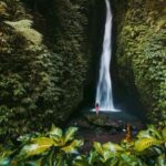 Ubud: Rice Planting, Coconut Oil Class and Waterfall - Practical Details and Tips