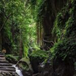 Ubud: Rice Terrace, Monkey Forest, Temple, & Waterfall - What Makes This Tour Stand Out?