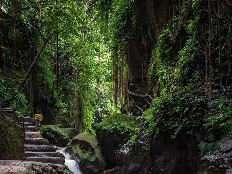 Ubud: Rice Terrace, Monkey Forest, Temple, & Waterfall - Exploring Bali’s Natural and Cultural Highlights