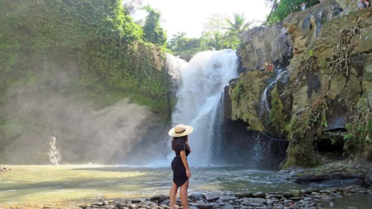 Ubud: Rice Terrace, Waterfall, & Elephant Cave - Exploring the Itinerary — What You Can Expect