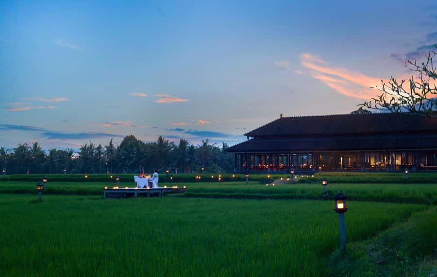 Ubud: Romantic Dinner among the Rice Fields - The Itinerary: What to Expect