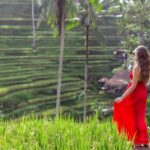 Ubud: Semi-Customized Private Tour with Live Guide - The Sum Up