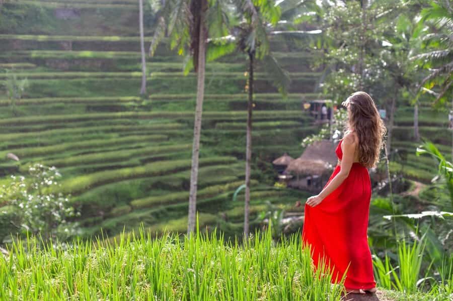 Ubud: Semi-Customized Private Tour with Live Guide - The Sum Up  