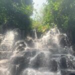 Ubud Shared Tour: Ubud Waterfalls, Tegalalang & Holy Water Temple - Who Will Love This Experience?