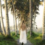 Ubud: Sunrise Rice Terrace Trek, Water Temple & Offering - The Sum Up