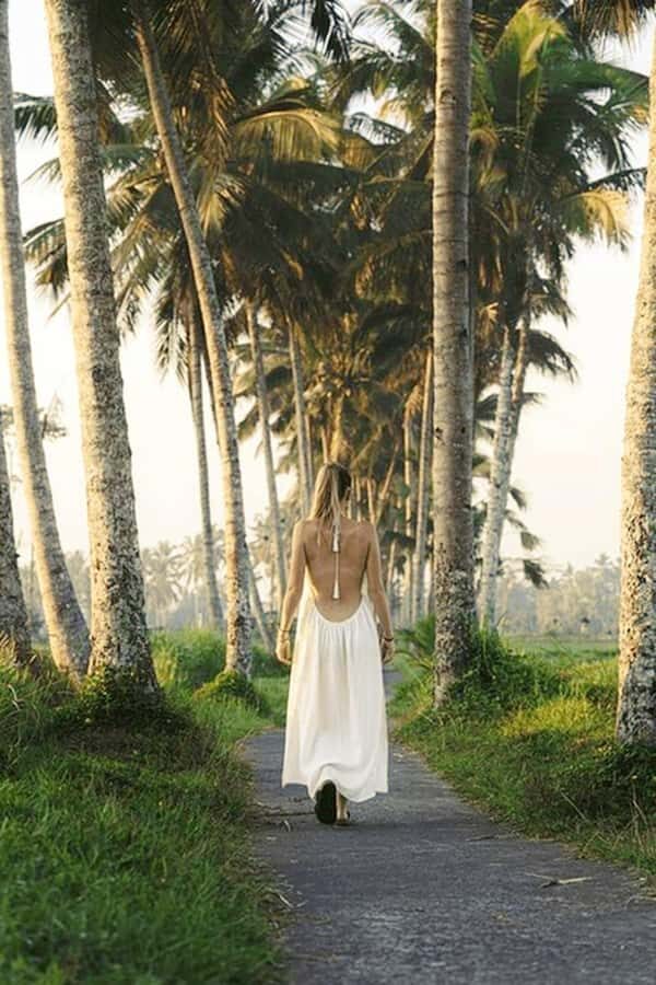 Ubud: Sunrise Rice Terrace Trek, Water Temple & Offering - The Sum Up  