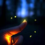 Ubud: Taro Village Firefly Excursion with a Vegetarian Meal - What Makes This Tour Stand Out?