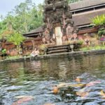 Ubud: Tirta Empul, Rice Terrace, Waterfall and Custom Tour - The Value of This Tour
